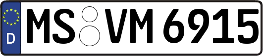 MS-VM6915