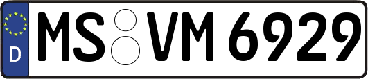 MS-VM6929