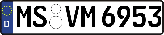 MS-VM6953