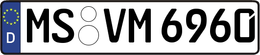 MS-VM6960