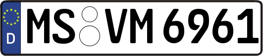 MS-VM6961