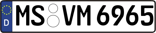 MS-VM6965