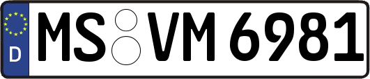 MS-VM6981