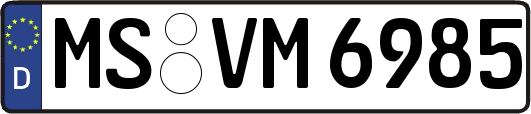 MS-VM6985