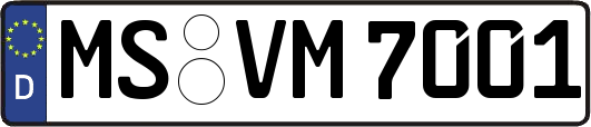 MS-VM7001