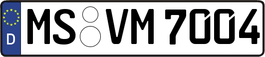 MS-VM7004