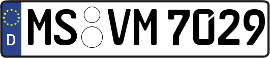 MS-VM7029