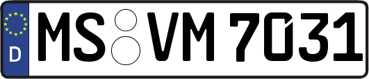 MS-VM7031