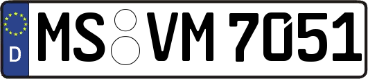 MS-VM7051