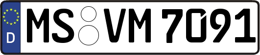 MS-VM7091