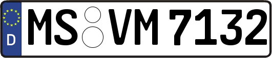 MS-VM7132