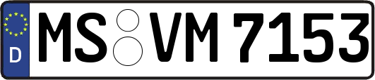MS-VM7153