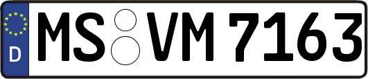 MS-VM7163