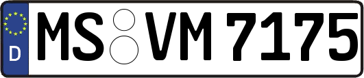 MS-VM7175