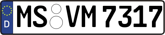 MS-VM7317
