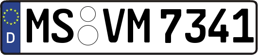 MS-VM7341
