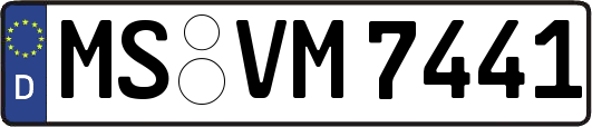MS-VM7441