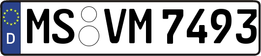 MS-VM7493