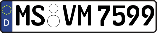 MS-VM7599