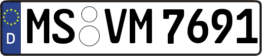 MS-VM7691