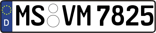 MS-VM7825