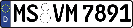 MS-VM7891