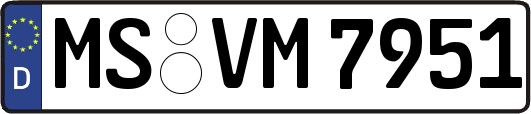 MS-VM7951