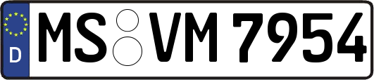 MS-VM7954