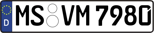 MS-VM7980