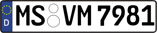MS-VM7981