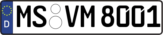 MS-VM8001