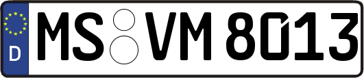 MS-VM8013