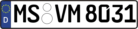 MS-VM8031