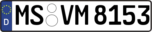 MS-VM8153