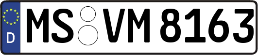 MS-VM8163
