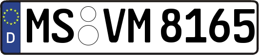 MS-VM8165