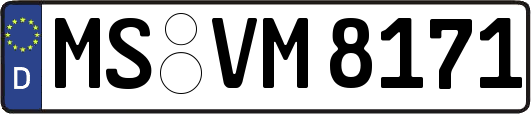 MS-VM8171