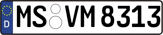 MS-VM8313