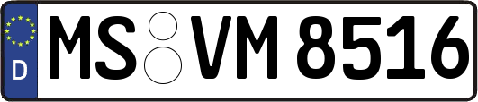 MS-VM8516