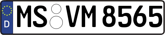 MS-VM8565