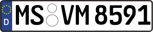 MS-VM8591
