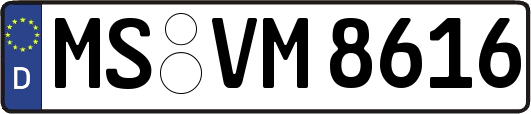 MS-VM8616