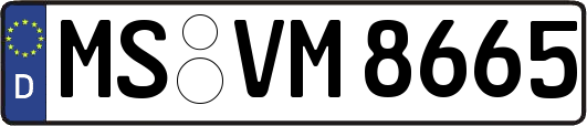 MS-VM8665