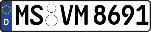 MS-VM8691
