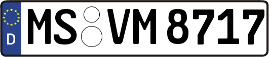 MS-VM8717
