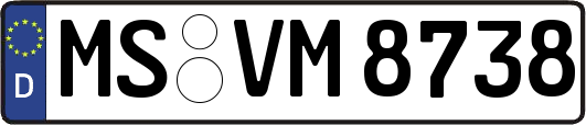 MS-VM8738