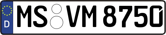 MS-VM8750