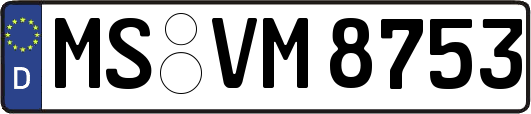 MS-VM8753