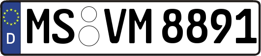 MS-VM8891