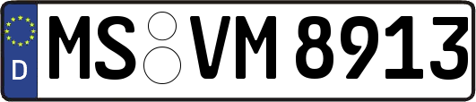 MS-VM8913
